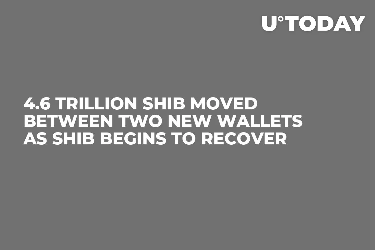 4.6 Trillion SHIB Moved Between Two New Wallets as SHIB Begins to Recover