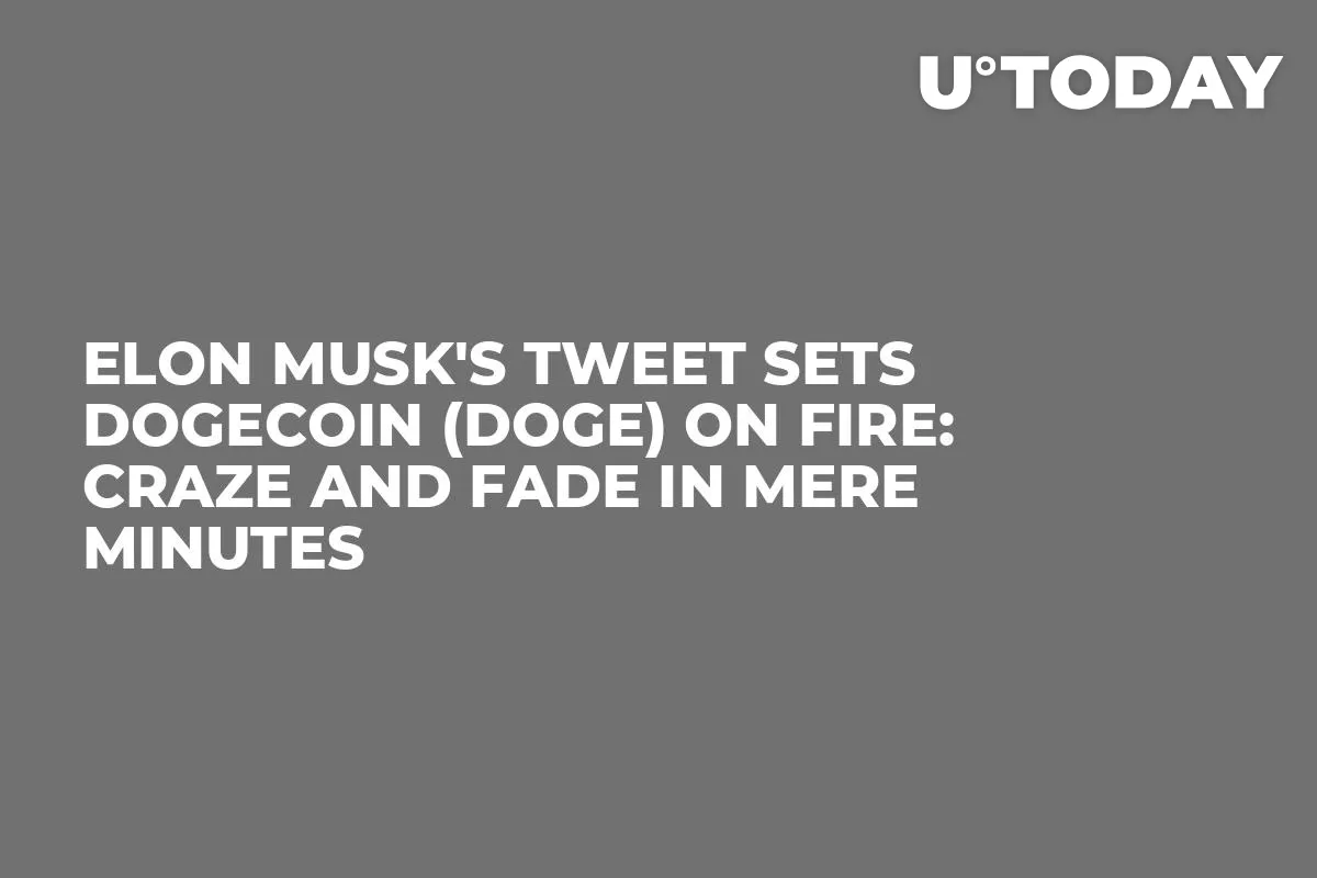 Elon Musk's Tweet Sets Dogecoin (DOGE) on Fire: Craze and Fade in Mere Minutes