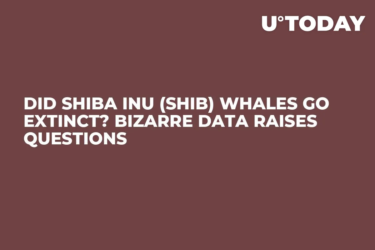 Did Shiba Inu (SHIB) Whales Go Extinct? Bizarre Data Raises Questions