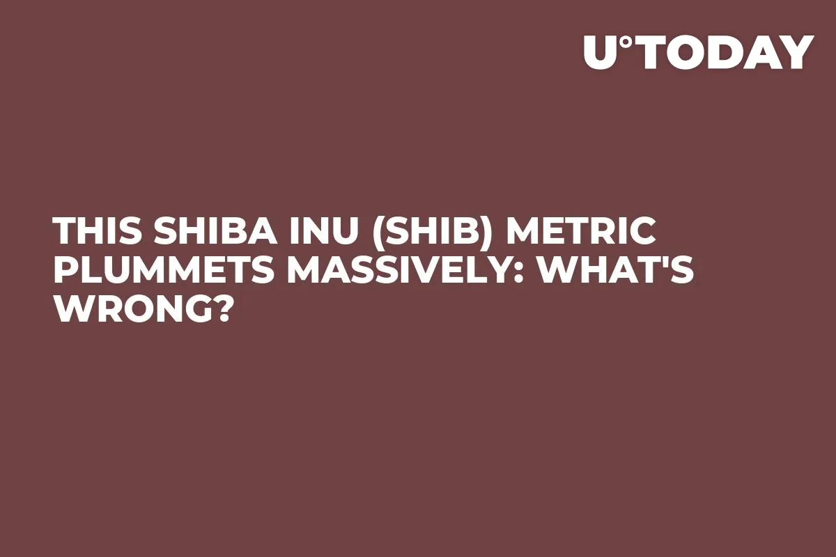 This Shiba Inu (SHIB) Metric Plummets Massively: What's Wrong?