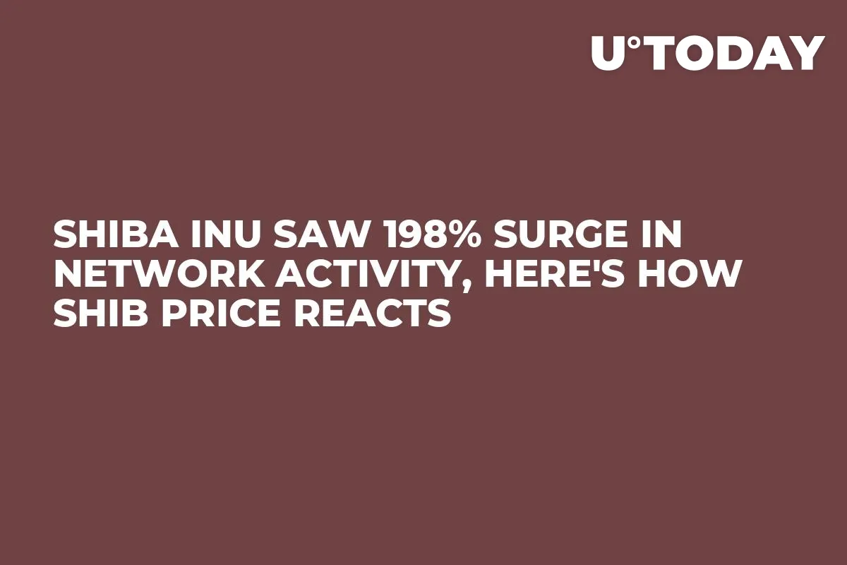 Shiba Inu Saw 198% Surge in Network Activity, Here's How SHIB Price Reacts