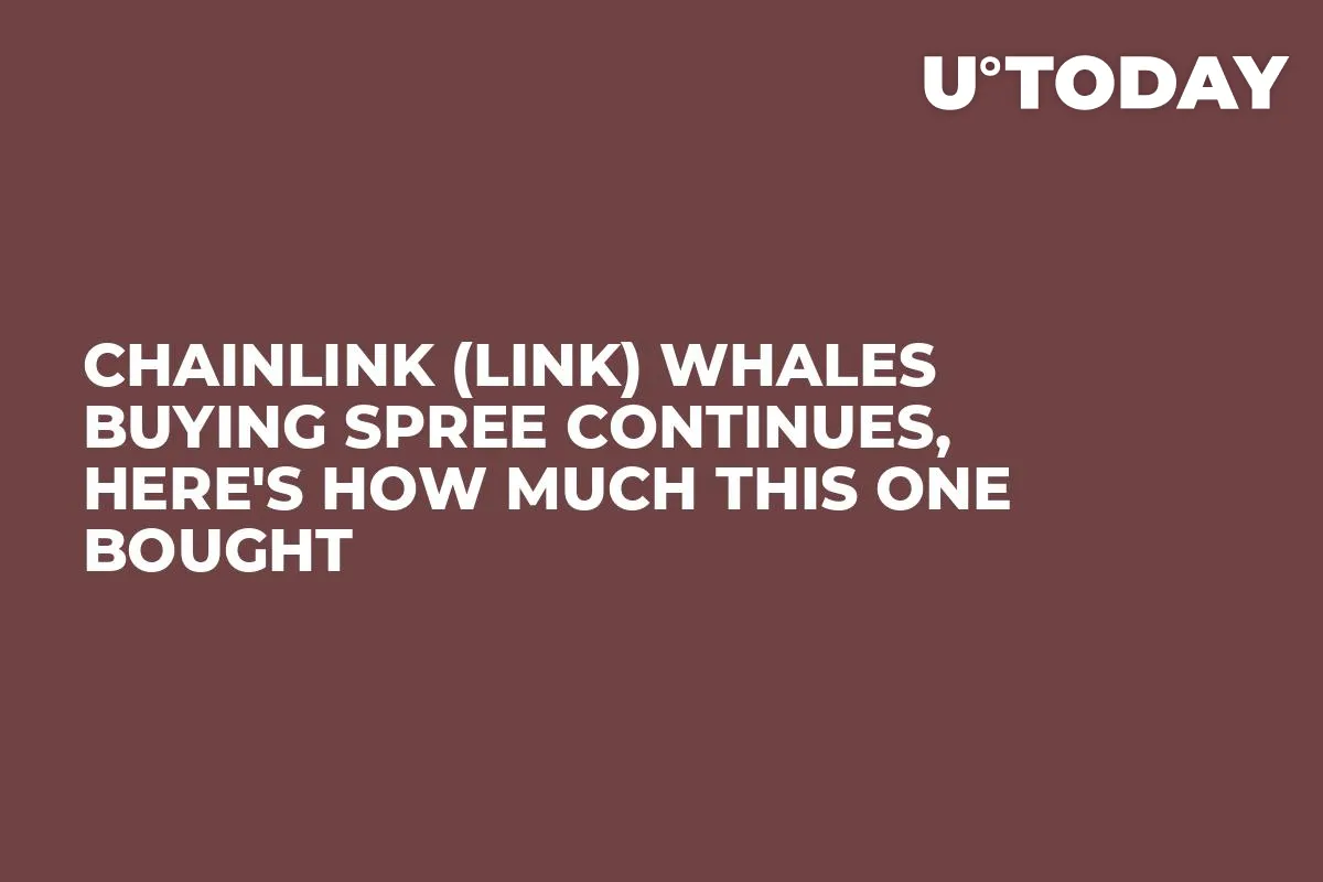 Chainlink (LINK) Whales Buying Spree Continues, Here's How Much This One Bought