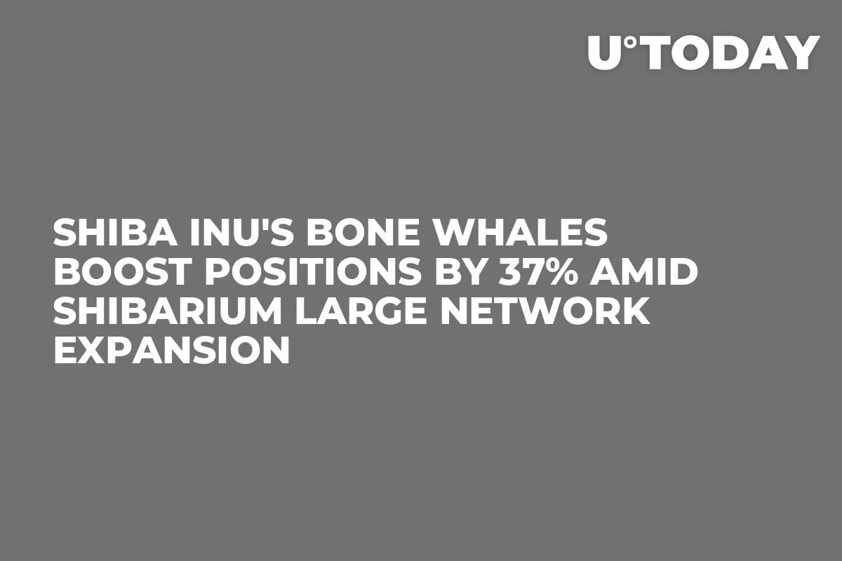 Shiba Inu's BONE Whales Boost Positions by 37% Amid Shibarium Large Network Expansion