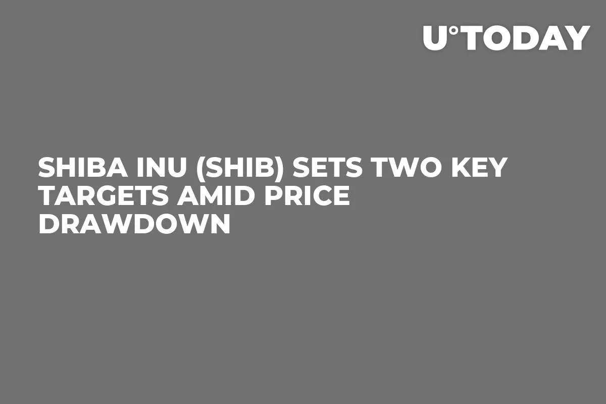 Shiba Inu (SHIB) Sets Two Key Targets Amid Price Drawdown