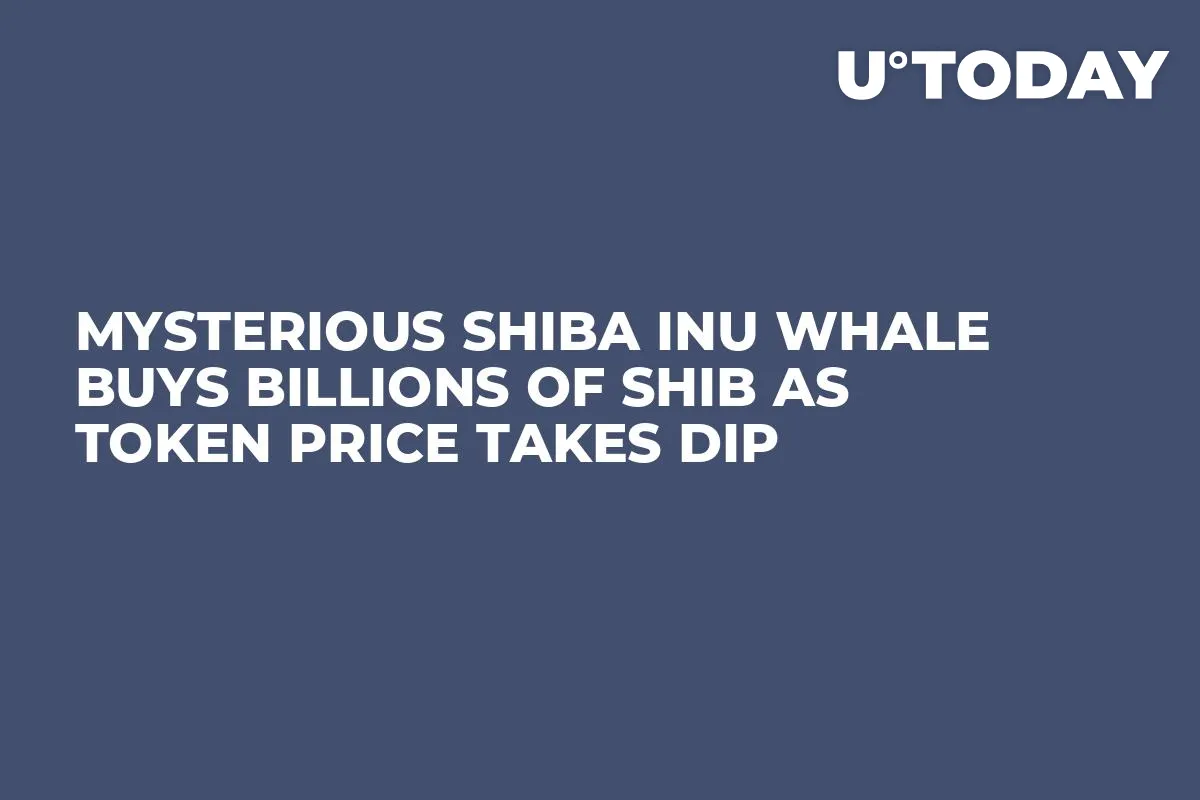 Mysterious Shiba Inu Whale Buys Billions of SHIB as Token Price Takes Dip