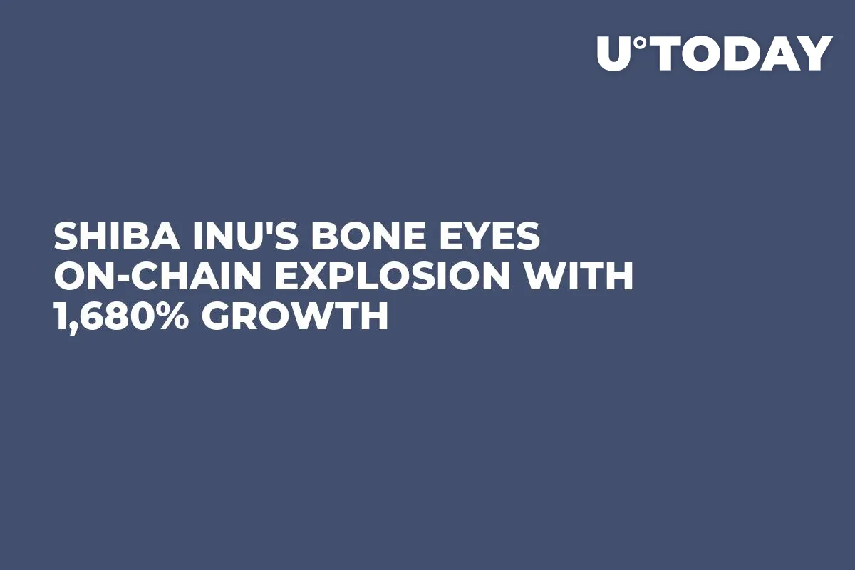 Shiba Inu's BONE Eyes On-chain Explosion With 1,680% Growth