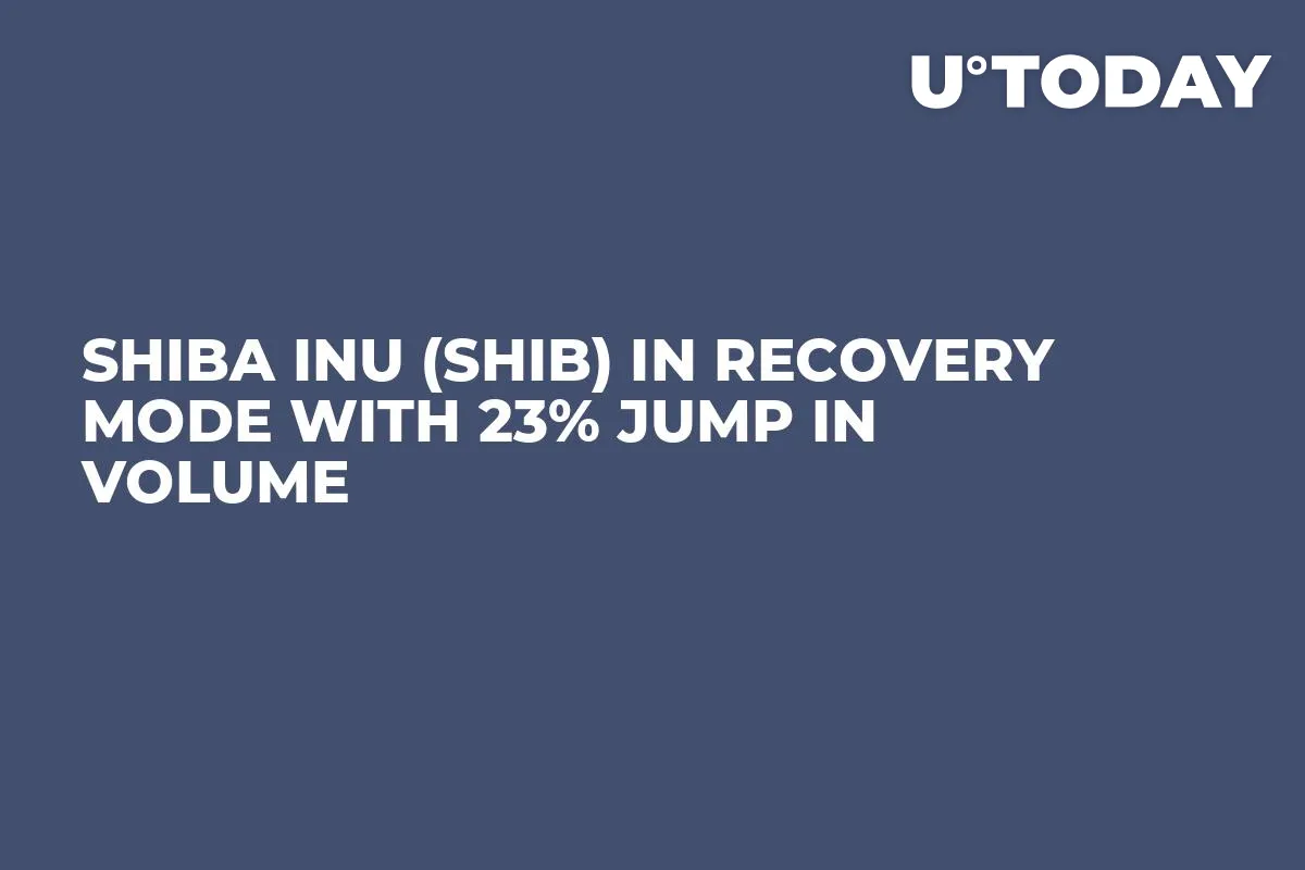 Shiba Inu (SHIB) in Recovery Mode With 23% Jump in Volume