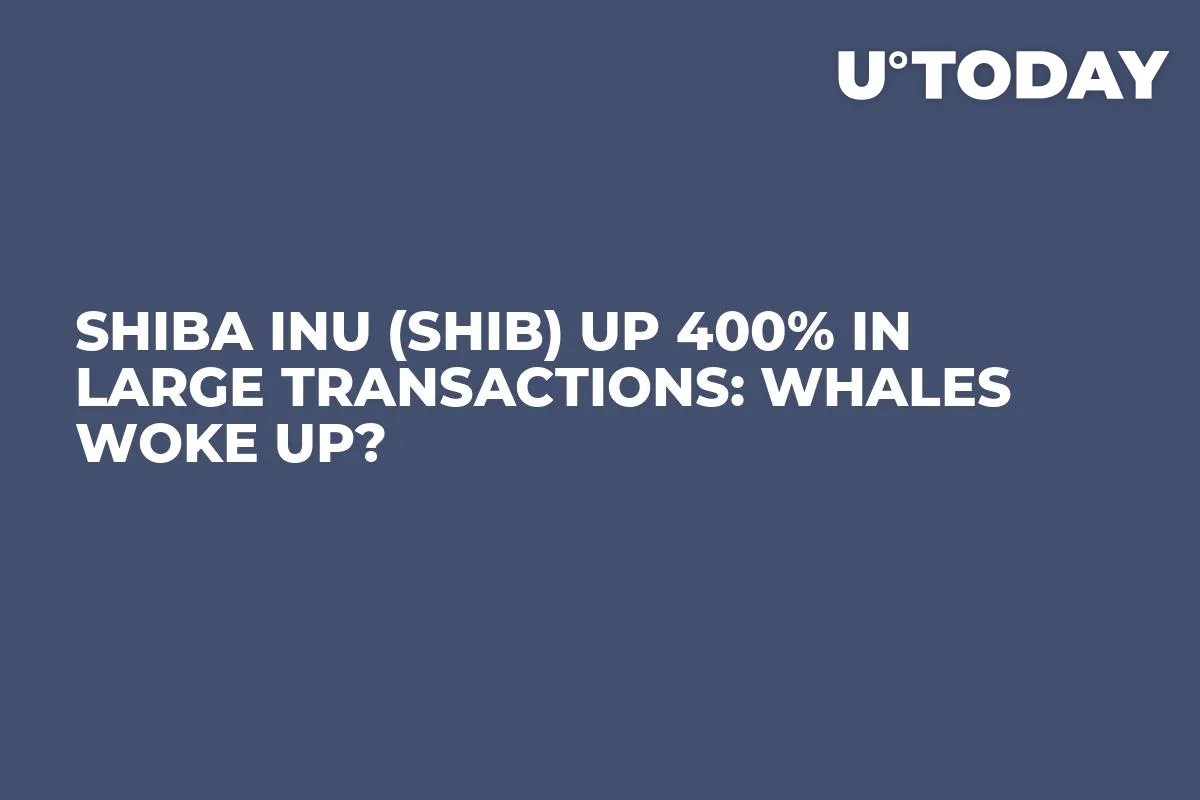Shiba Inu (SHIB) up 400% in Large Transactions: Whales Woke Up?