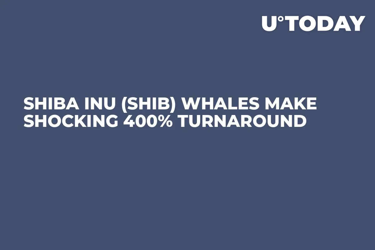 Shiba Inu (SHIB) Whales Make Shocking 400% Turnaround