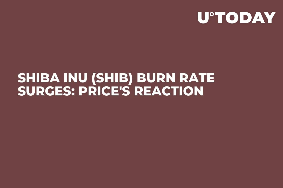 Shiba Inu (SHIB) Burn Rate Surges: Price's Reaction