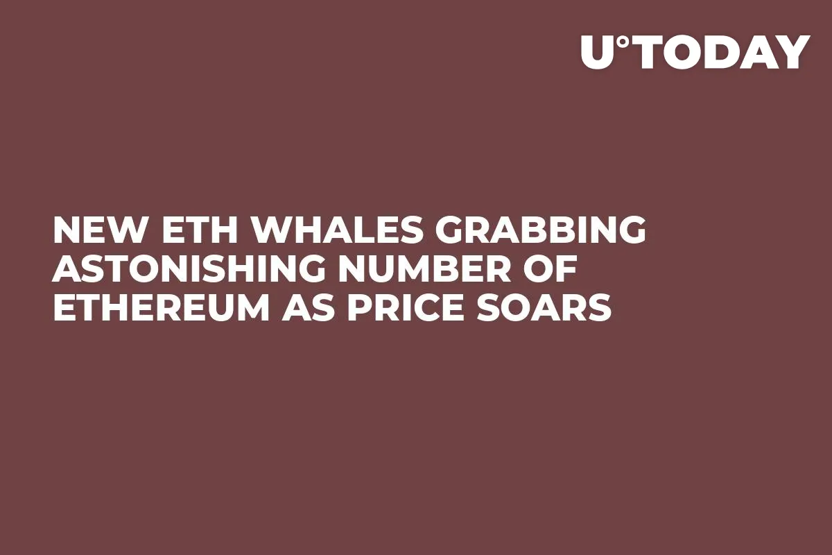 New ETH Whales Grabbing Astonishing Number of Ethereum As Price Soars