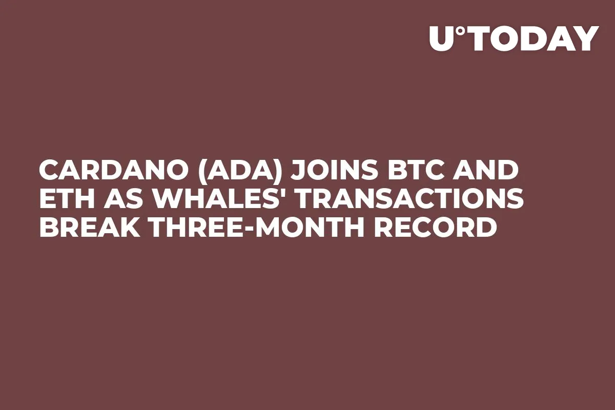 Cardano (ADA) Joins BTC and ETH as Whales' Transactions Break Three-Month Record