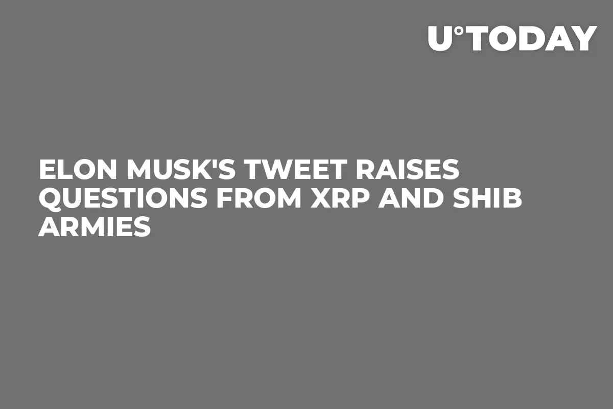 Elon Musk's Tweet Raises Questions from XRP and SHIB Armies
