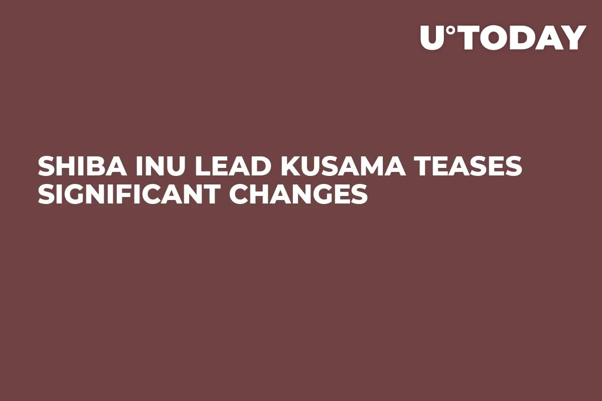 Shiba Inu Lead Kusama Teases Significant Changes