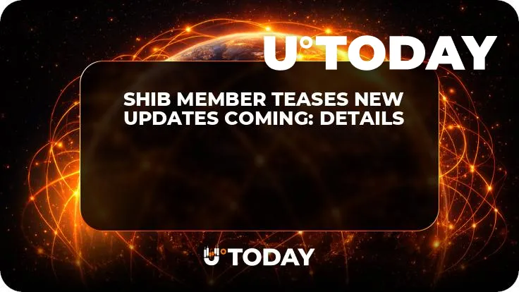 SHIB Member Teases New Updates Coming: Details