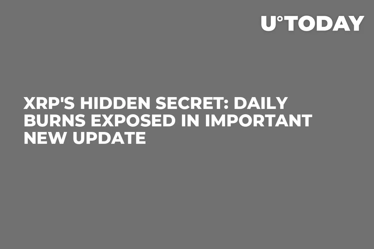 XRP's Hidden Secret: Daily Burns Exposed in Important New Update