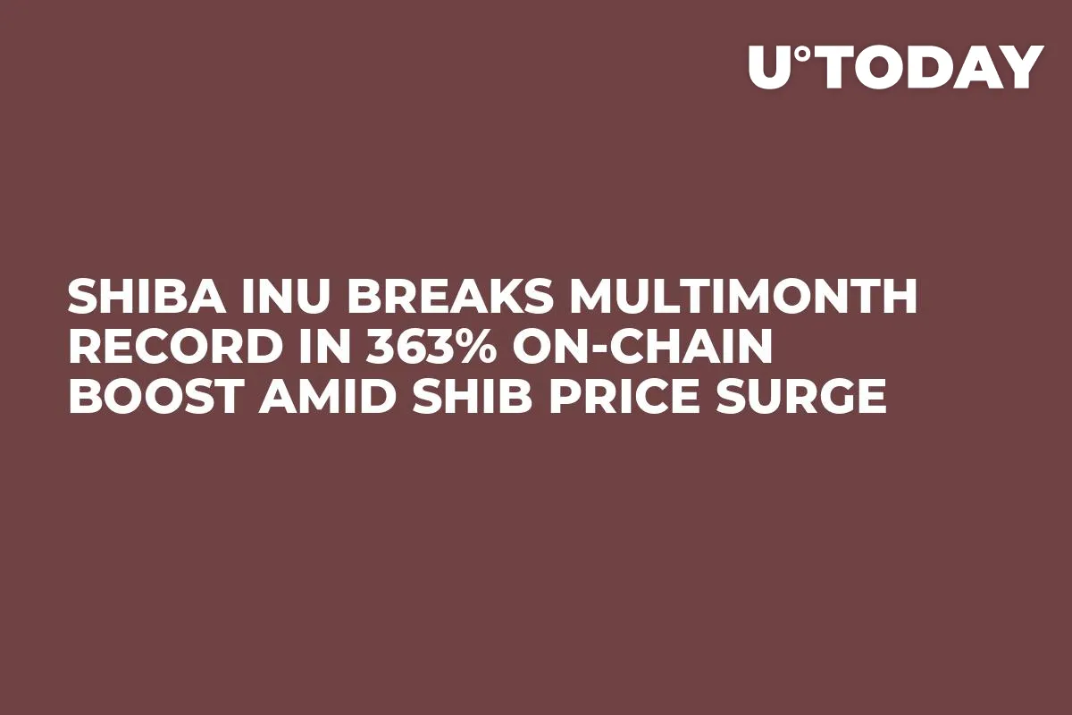 Shiba Inu Breaks Multimonth Record in 363% On-chain Boost Amid SHIB Price Surge
