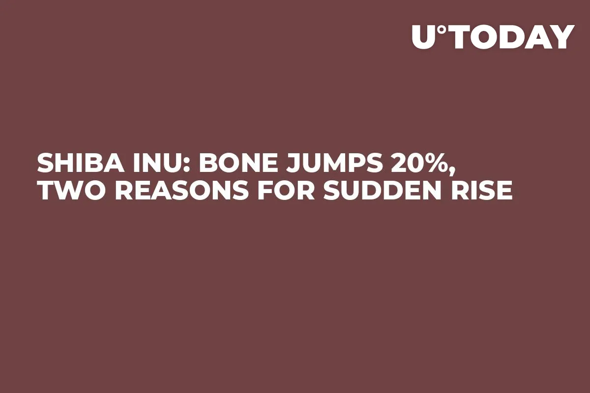 Shiba Inu: BONE Jumps 20%, Two Reasons for Sudden Rise