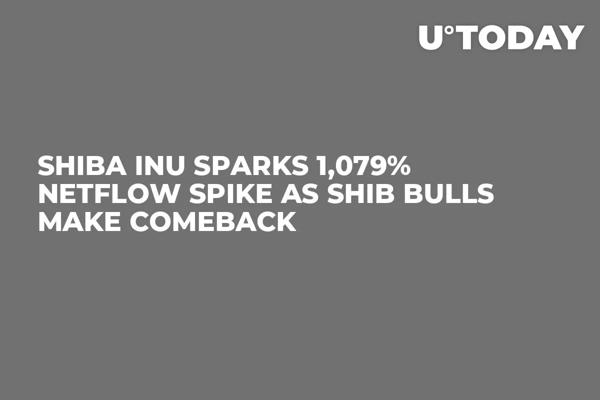 Shiba Inu Sparks 1,079% Netflow Spike as SHIB Bulls Make Comeback
