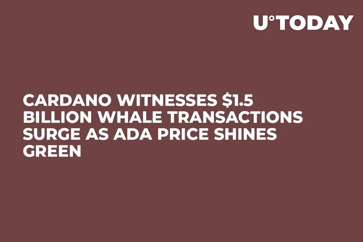 Cardano Witnesses $1.5 Billion Whale Transactions Surge as ADA Price Shines Green