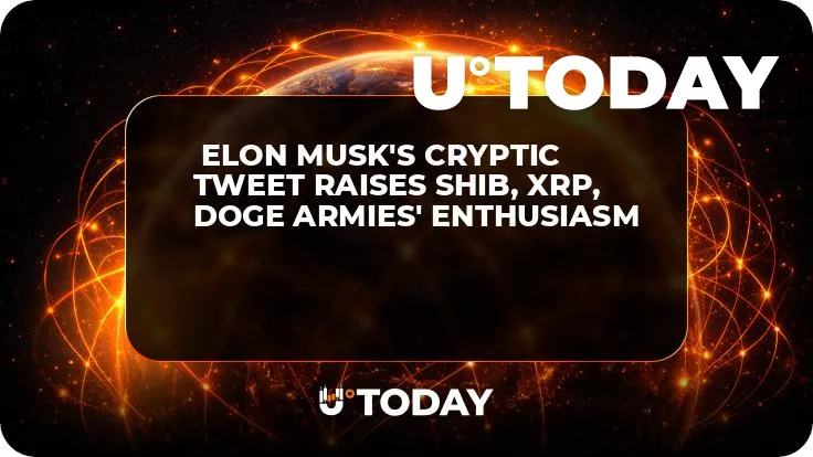  Elon Musk's Cryptic Tweet Raises SHIB, XRP, DOGE Armies' Enthusiasm