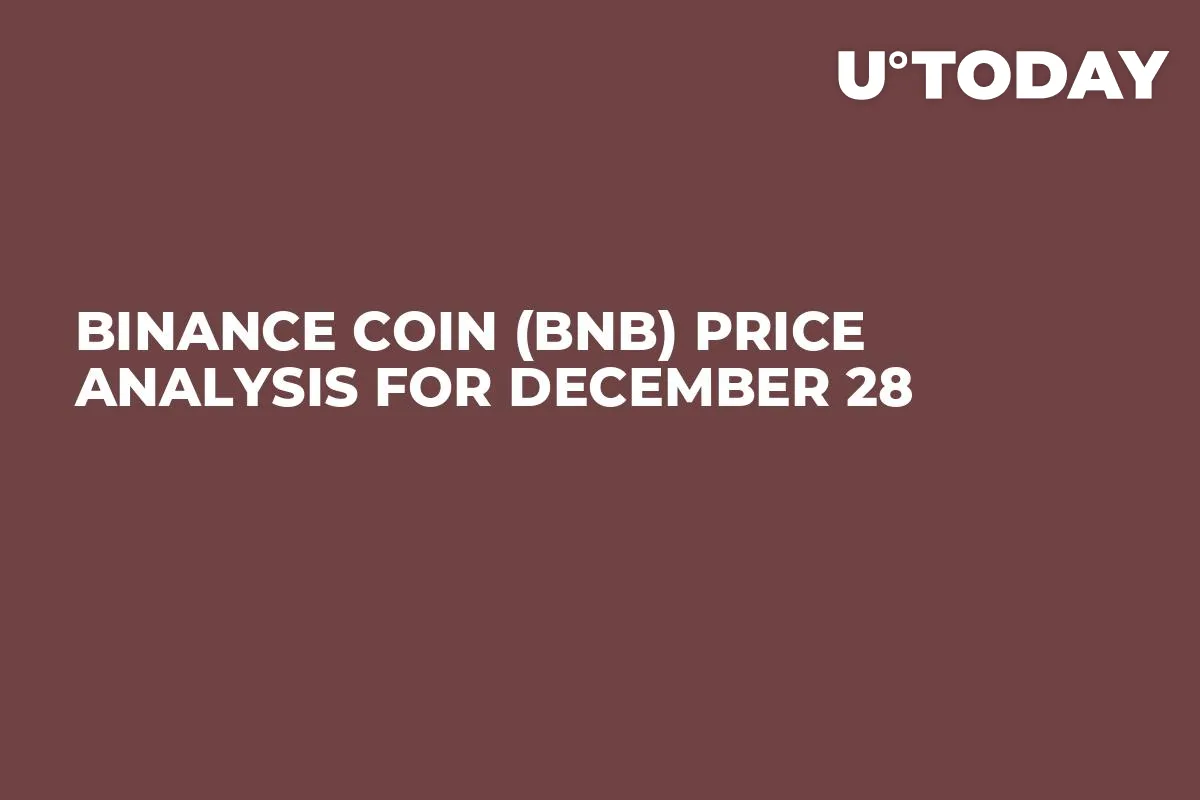 Binance Coin (BNB) Price Analysis for December 28