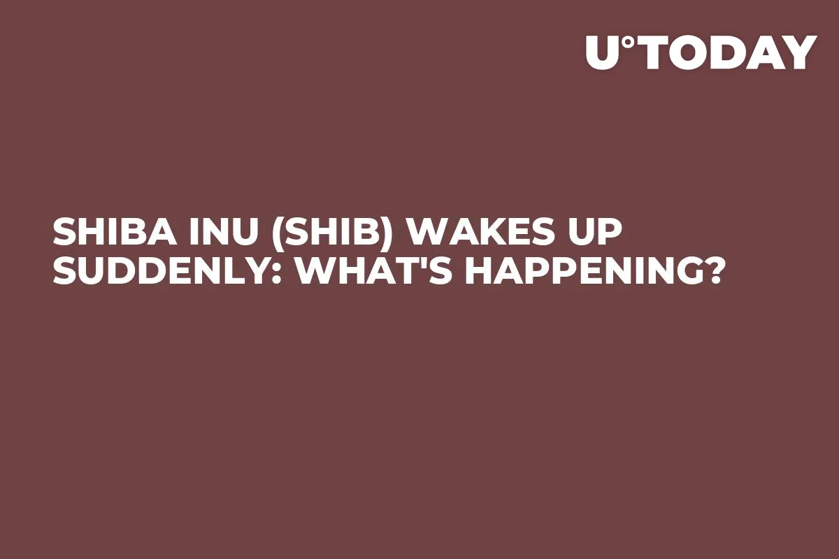 Shiba Inu (SHIB) Wakes up Suddenly: What's Happening?