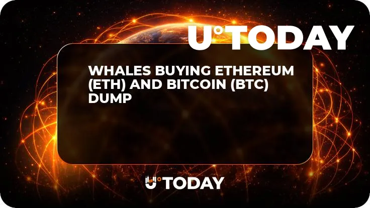 Whales Buying Ethereum (ETH) and Bitcoin (BTC) Dump