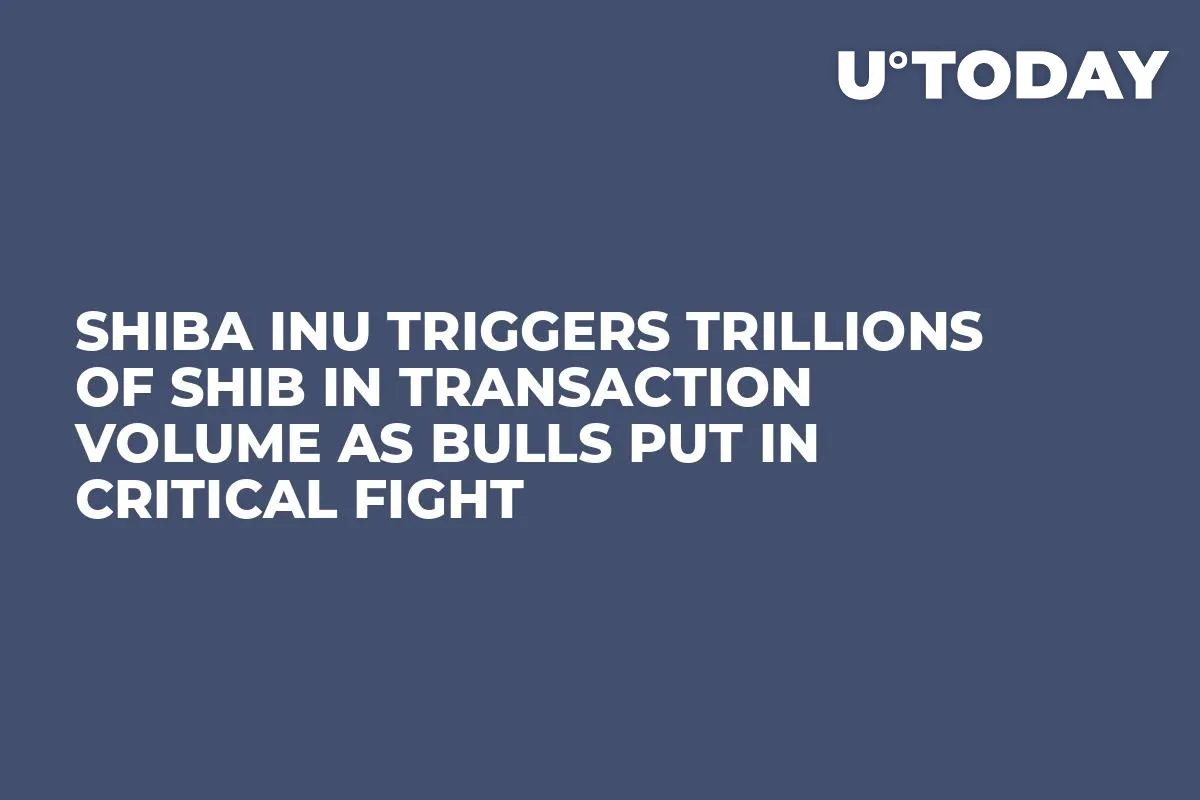 Shiba Inu Triggers Trillions of SHIB in Transaction Volume as Bulls Put in Critical Fight