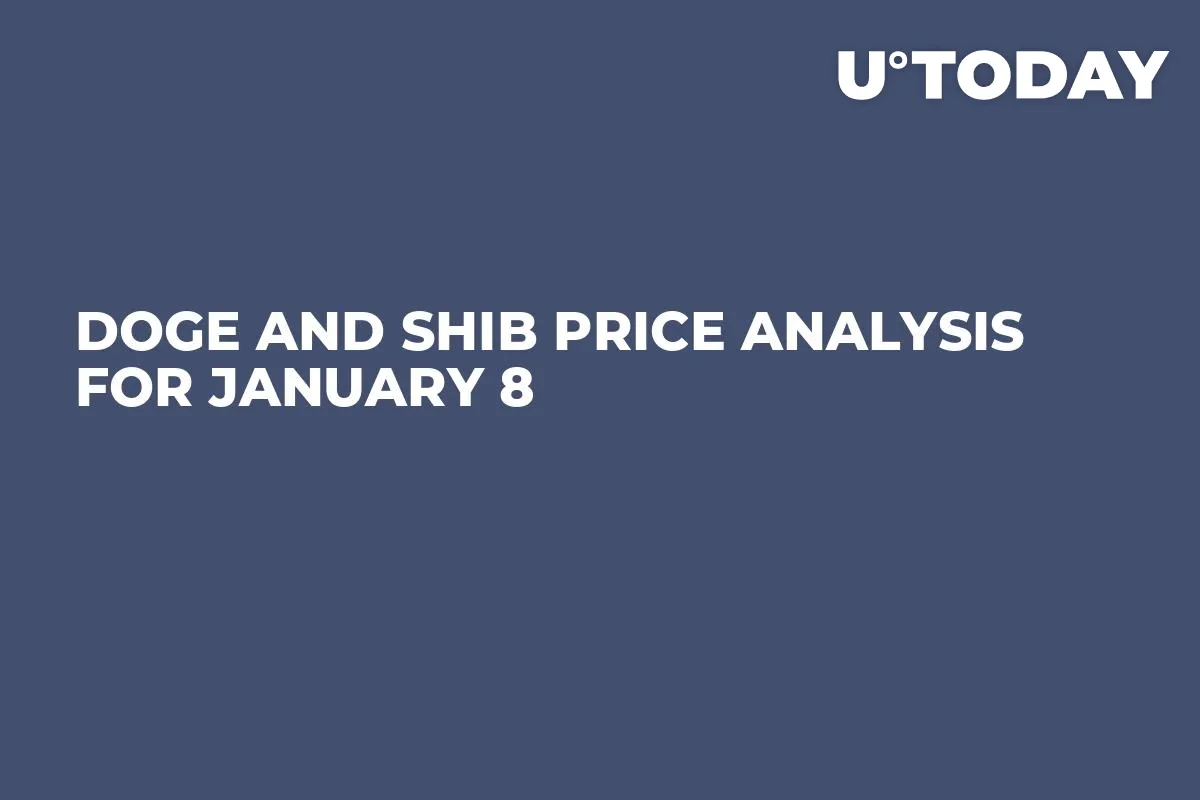 DOGE and SHIB Price Analysis for January 8