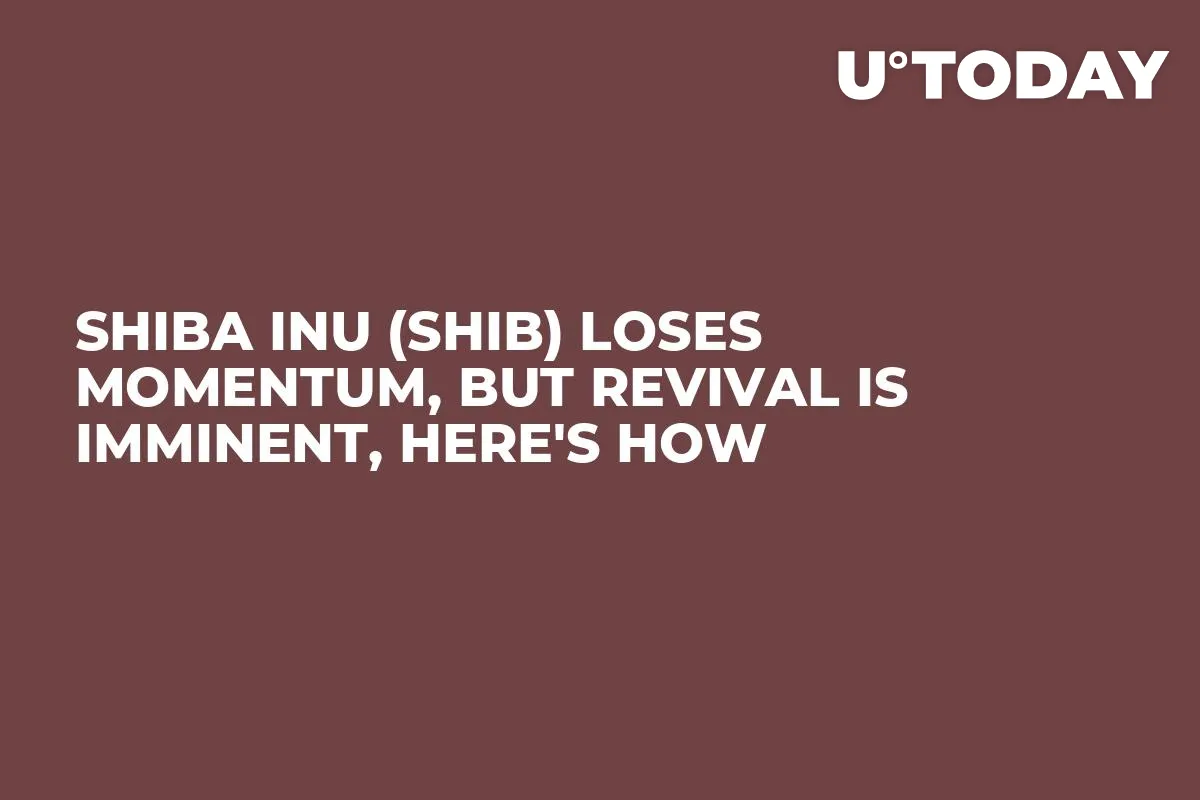 Shiba Inu (SHIB) Loses Momentum, But Revival Is Imminent, Here's How