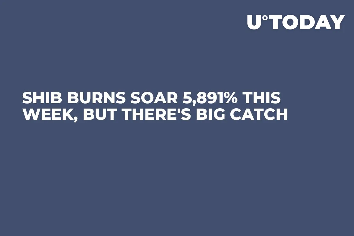 SHIB Burns Soar 5,891% This Week, but There's Big Catch