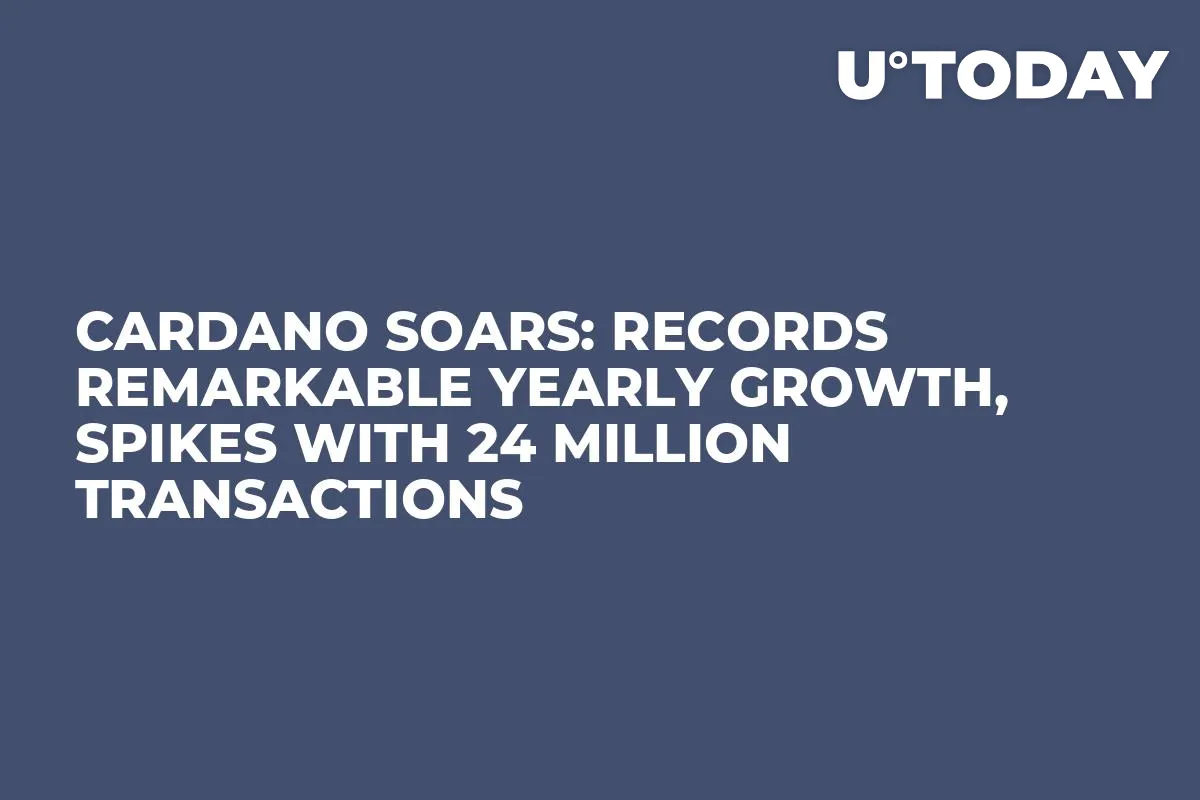 Cardano Soars: Records Remarkable Yearly Growth, Spikes With 24 Million Transactions