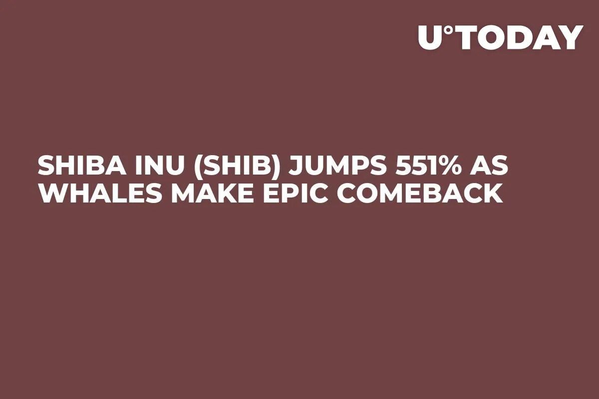 Shiba Inu (SHIB) Jumps 551% as Whales Make Epic Comeback
