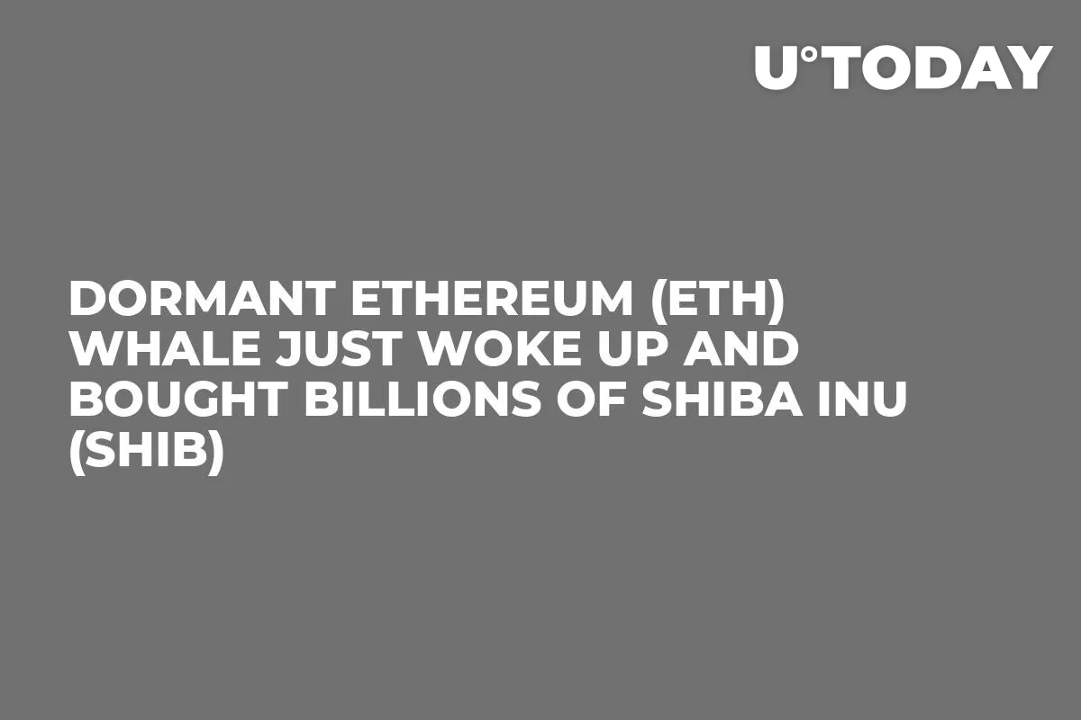 Dormant Ethereum (ETH) Whale Just Woke up and Bought Billions of Shiba Inu (SHIB)