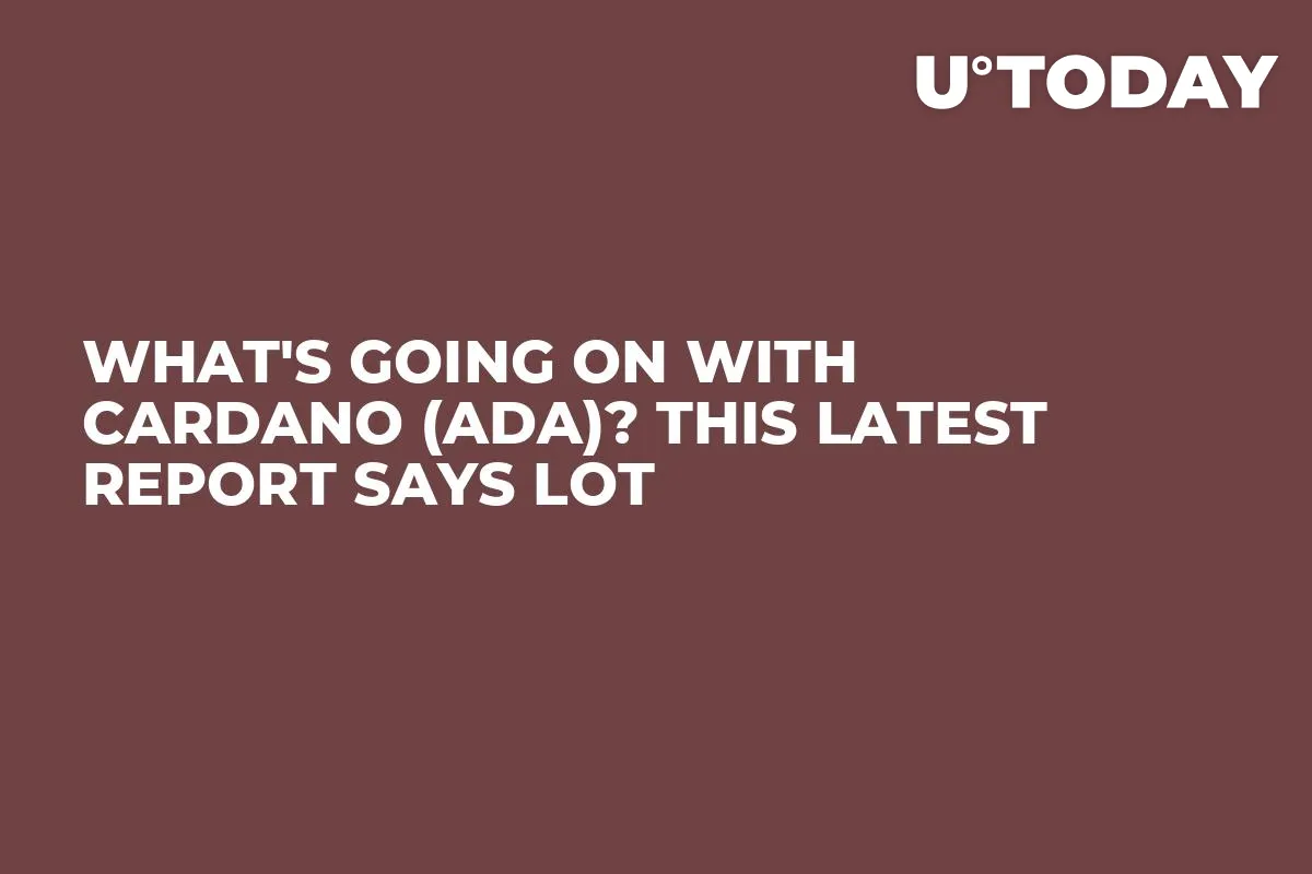 What's Going On With Cardano (ADA)? This Latest Report Says Lot