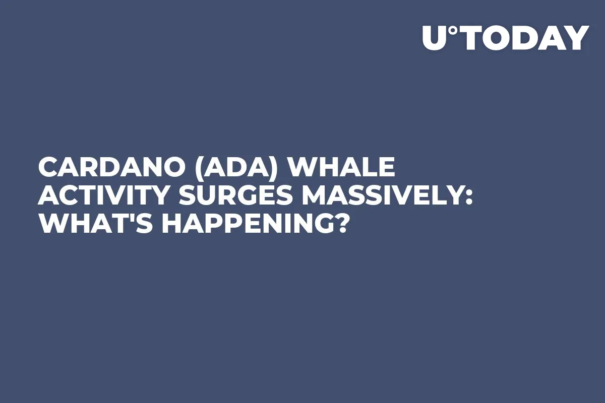 Cardano (ADA) Whale Activity Surges Massively: What's Happening?