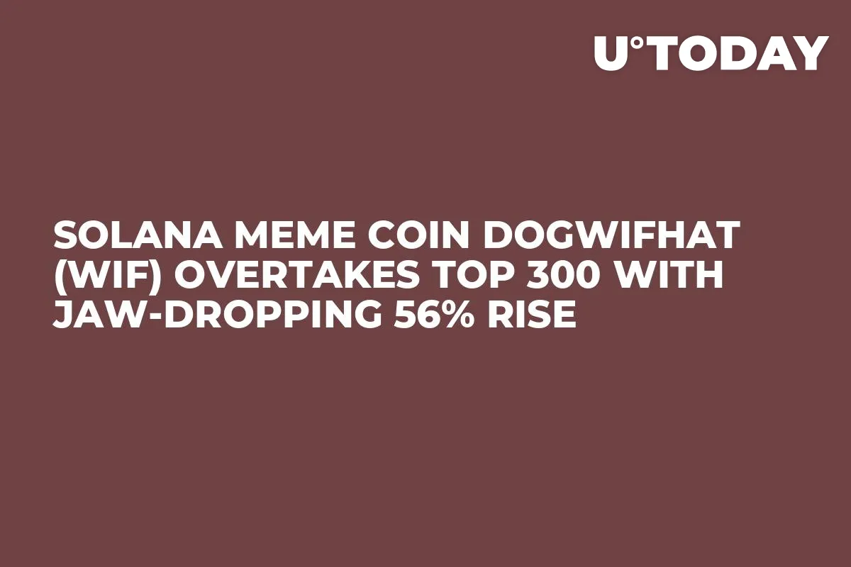 Solana Meme Coin Dogwifhat (WIF) Overtakes Top 300 With Jaw-Dropping 56% Rise