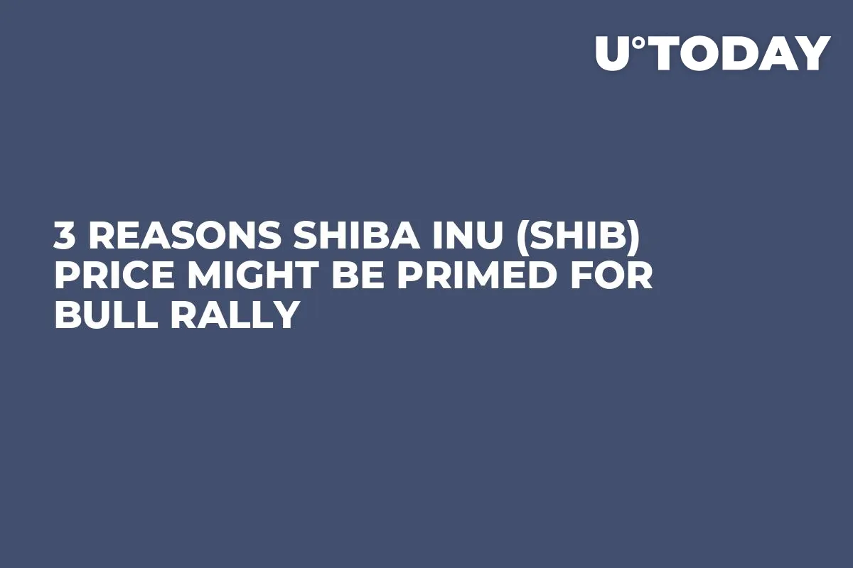 3 Reasons Shiba Inu (SHIB) Price Might Be Primed for Bull Rally