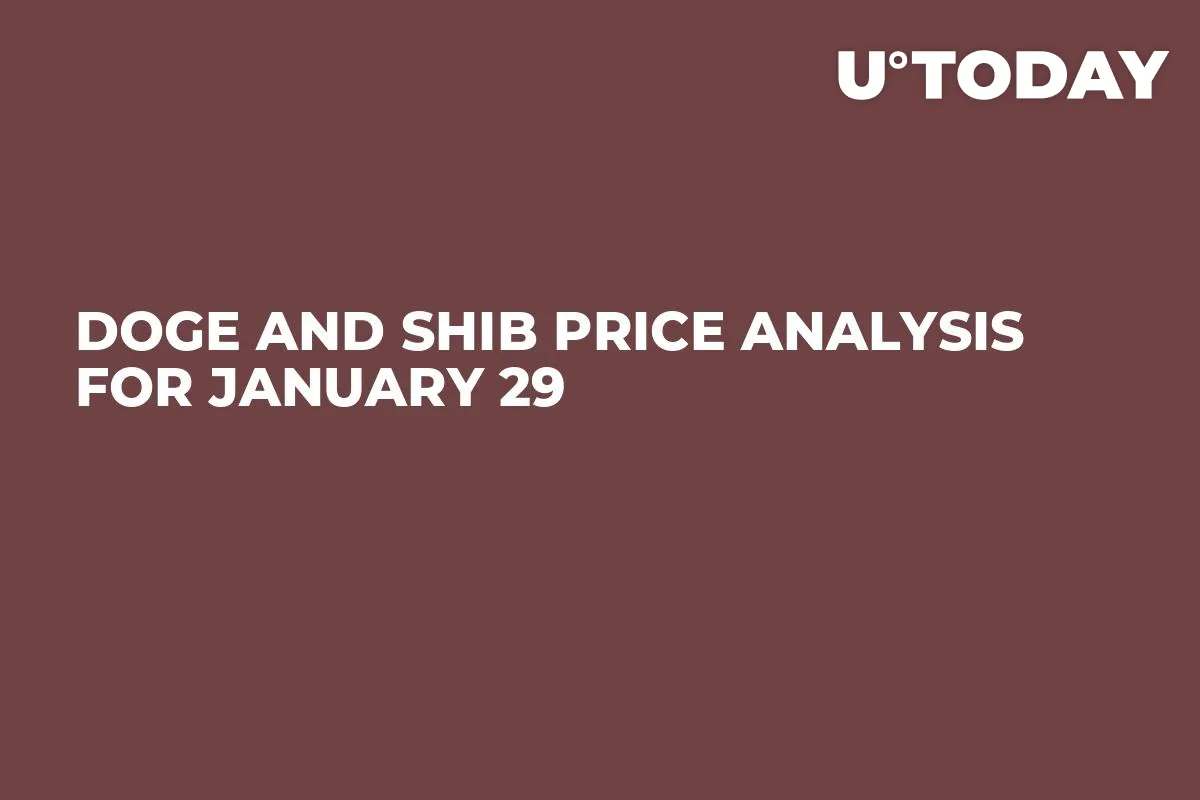 DOGE and SHIB Price Analysis for January 29