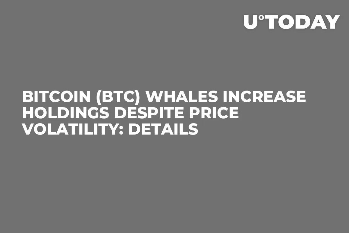 Bitcoin (BTC) Whales Increase Holdings Despite Price Volatility: Details
