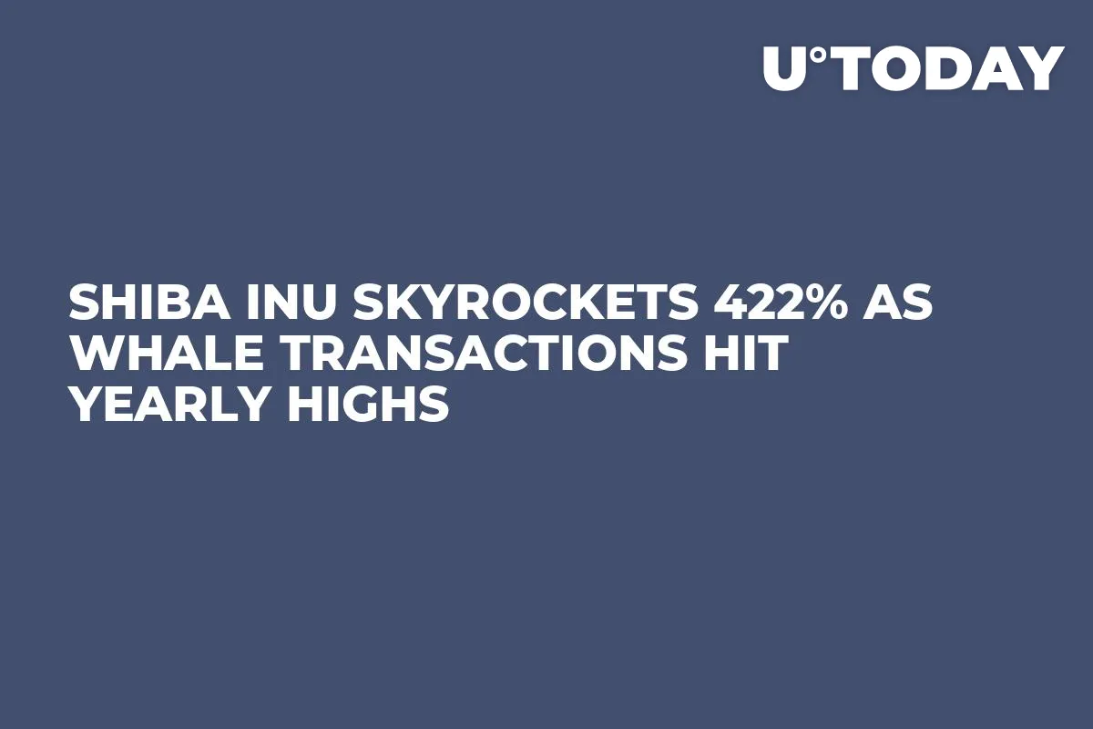Shiba Inu Skyrockets 422% as Whale Transactions Hit Yearly Highs