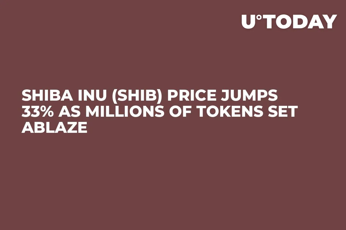 Shiba Inu (SHIB) Price Jumps 33% as Millions of Tokens Set Ablaze