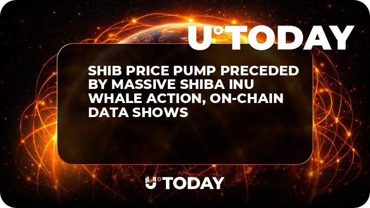 SHIB Price Pump Preceded by Massive Shiba Inu Whale Action, On-Chain Data Shows