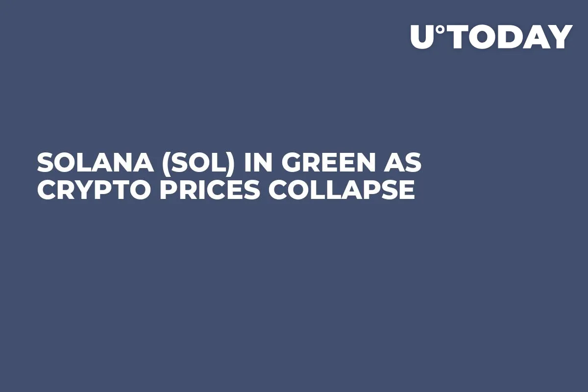 Solana (SOL) in Green as Crypto Prices Collapse