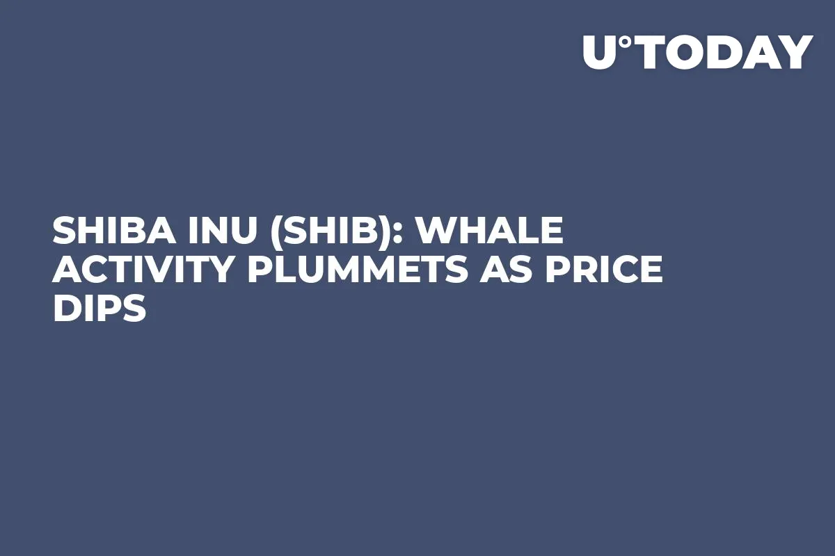 Shiba Inu (SHIB): Whale Activity Plummets as Price Dips