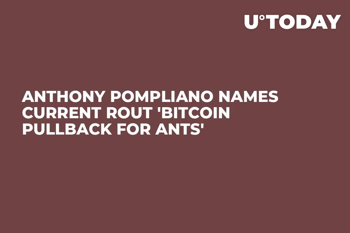 Anthony Pompliano Names Current Rout 'Bitcoin Pullback for Ants'