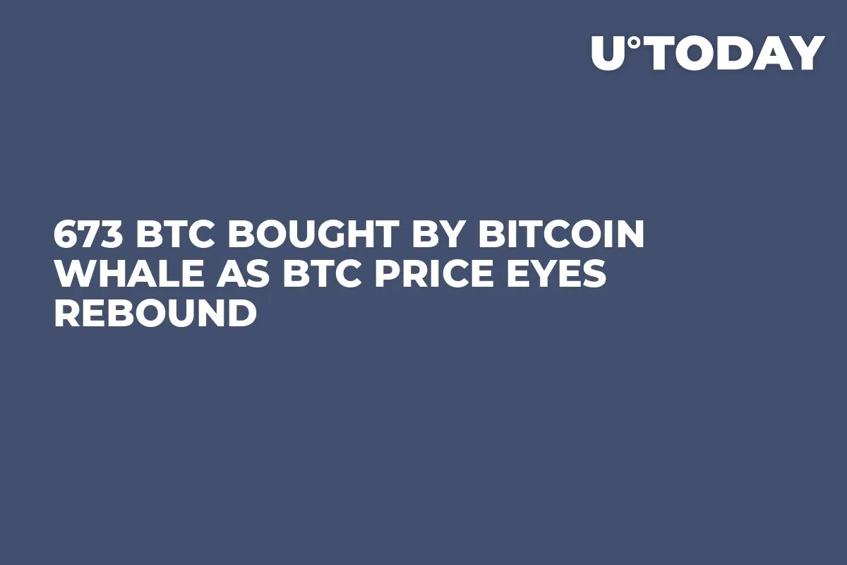 673 BTC Bought by Bitcoin Whale as BTC Price Eyes Rebound