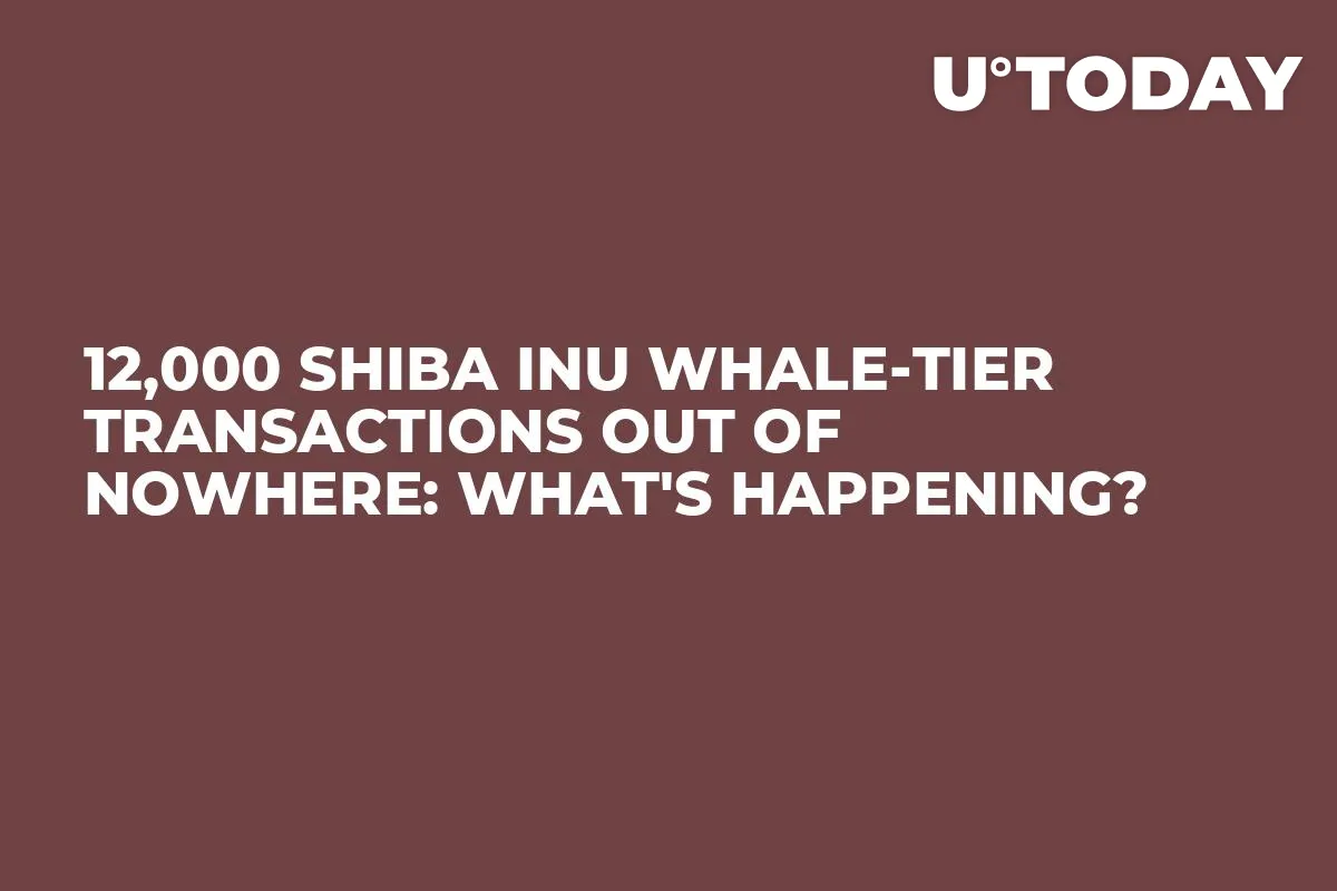 12,000 Shiba Inu Whale-Tier Transactions out of Nowhere: What's Happening?