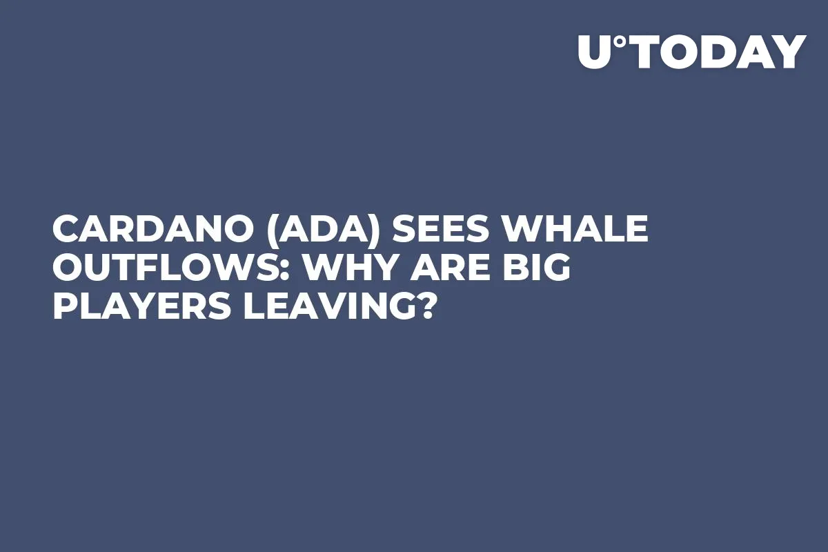 Cardano (ADA) Sees Whale Outflows: Why Are Big Players Leaving?